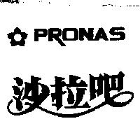 沙拉吧及圖 PRONAS