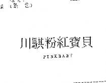 川騏粉紅寶貝 PINKBABY