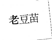 老豆苗