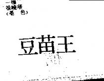 豆苗王