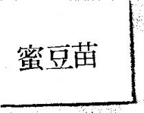 蜜豆苗