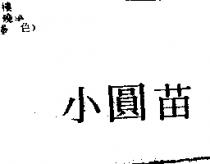 小圓苗