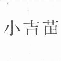 小吉苗