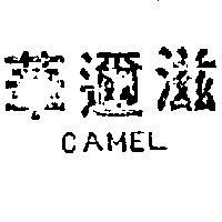 華邇滋 CAMEL 