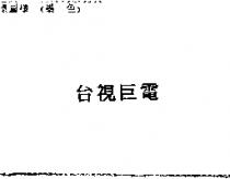 台視巨電