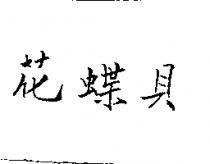 花蝶貝