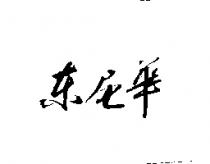 東尼華