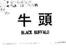 牛頭 BLACK BUFFALO