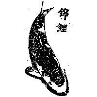 錦鯉及圖