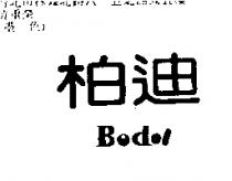 柏迪 BODOI