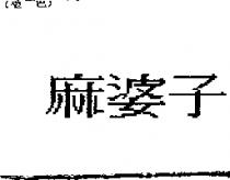 麻婆子