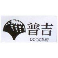 普吉及圖 PROGIANT