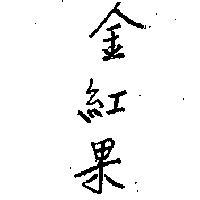 金紅果