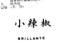 小辣椒 BRILLANTE