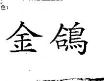 金鴿
