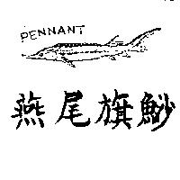燕尾旗鯊及圖 PENNANT