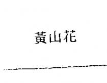 黃山花