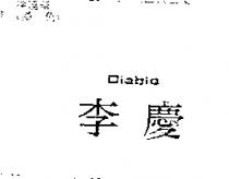 李慶 DIABLO