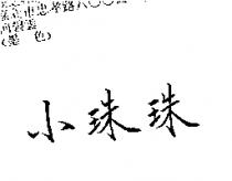 小珠珠