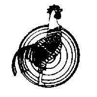 雞圖