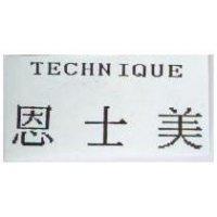 恩士美 T TECHNIQUE