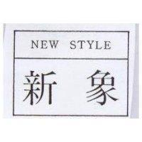 新象及圖 NEW STYLE