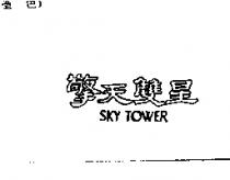 擎天雙星 SKY TOWER