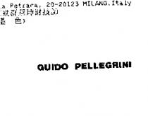 GUIDO PELLEGRINI