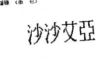 沙沙艾亞