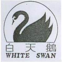 白天鵝及圖 WHITE SWAN