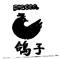 鴿子及圖 PIGEON