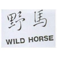 野馬 WILD HORSE