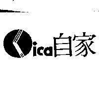 自家設計圖 CICA