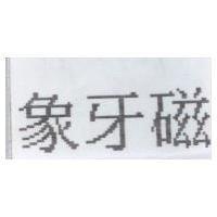 象牙磁