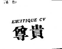 尊貴 EXCITIQUE CV