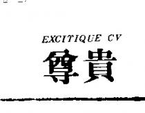 尊貴 EXCITIQUE CV