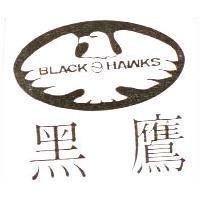 黑鷹及圖 BLACK HAWKS