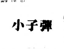 小子彈