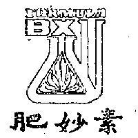 肥妙素附圖 FORMULA – BX 