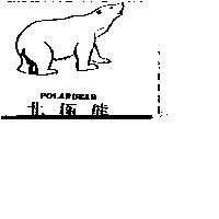 北極熊及圖 POLARBEAR