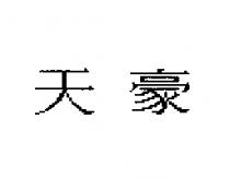 天豪