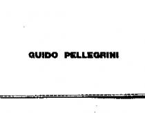 GUIDO PELLEGRINI