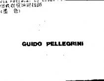 GUIDO PELLEGRINI