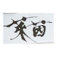 萊茵