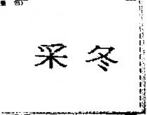 釆冬