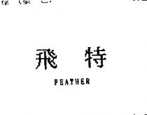 飛特 FEATHER