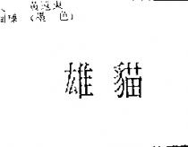 雄貓