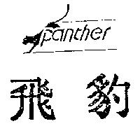 飛豹及圖 panther