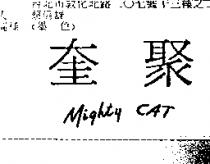 奎聚 MIGHTY CAT