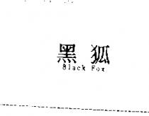 黑狐 Black Fox